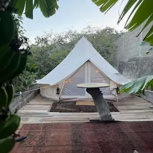  Tente de luxe Yurt In Avocado Garden